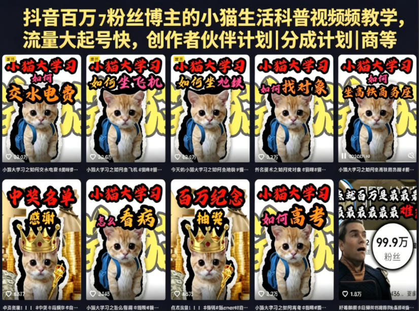 抖音百万粉丝博主的小猫生活科普视频教学，流量大起号快，创作者伙伴计划|分成计划|商单|收徒等-酉宸轻创社