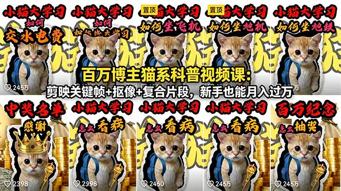 百万博主猫系科普视频课：剪映关键帧+抠像+复合片段，新手也能月入过万-酉宸轻创社