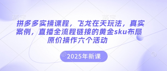 拼多多实操课程,飞龙在天玩法,真实案例,直播全流程链接的黄金sku布局原价操作六个活动-酉宸轻创社