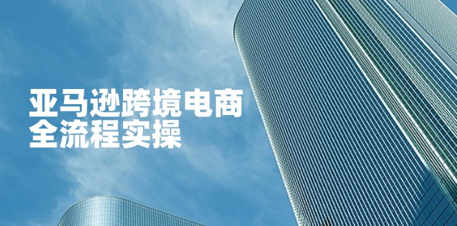 （14252期）亚马逊跨境电商全流程实操，教你从零开始，掌握店铺运营与广告技巧-酉宸轻创社
