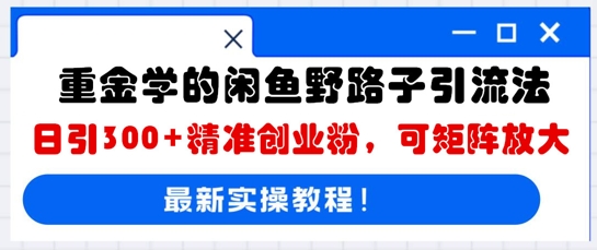 重金学的闲鱼野路子引流法,日引300+精准创业粉,可矩阵放大-酉宸轻创社