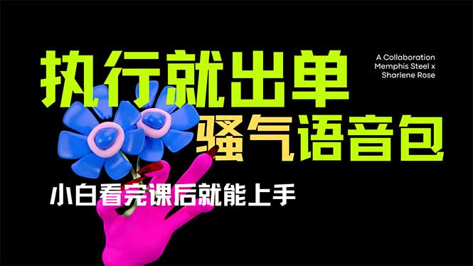 (14170期)爆火全网的开车导航骚气语音包,只要执行就出单,小白看完课程就能实操...-酉宸轻创社
