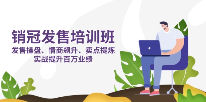 （14203期）销冠 发售培训班：发售 操盘+情商 飙升+卖点 提炼，实战提升百万业绩-酉宸轻创社