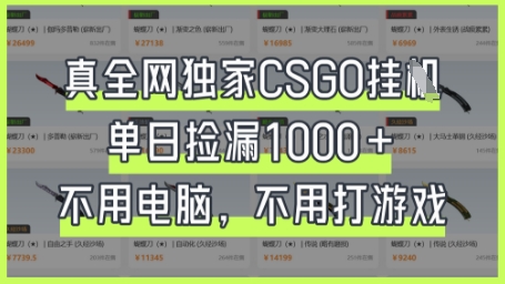 真全网独家CSGO挂G，单日捡漏1k+【揭秘】-酉宸轻创社