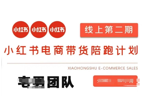 小红书电商带货课2期，月利润20个的小红书电商的有货源，无货源，虚拟产品，付费投流等整套玩法-酉宸轻创社